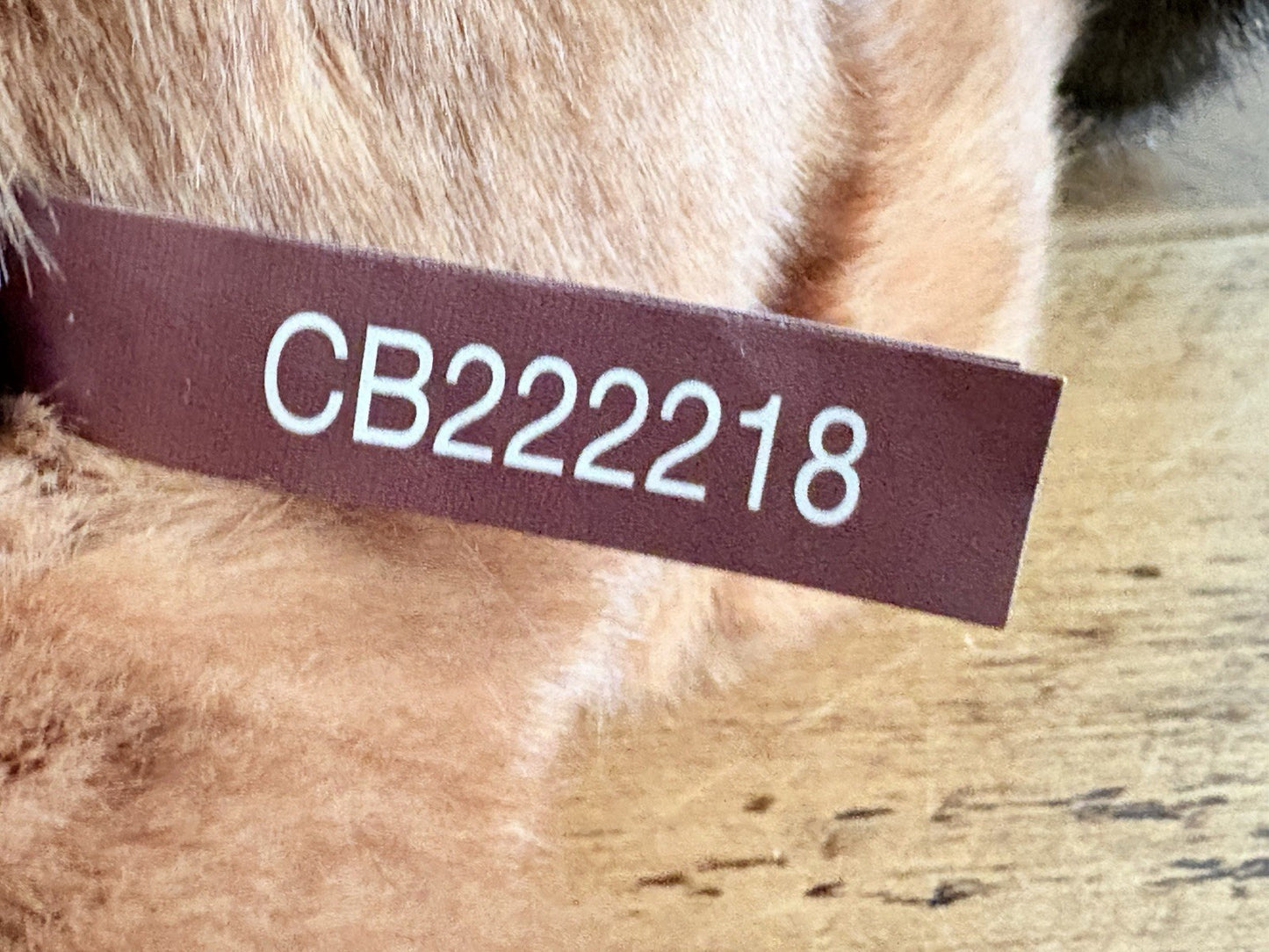 Charlie Bears Journey the Fox with Tags From Hugolicious