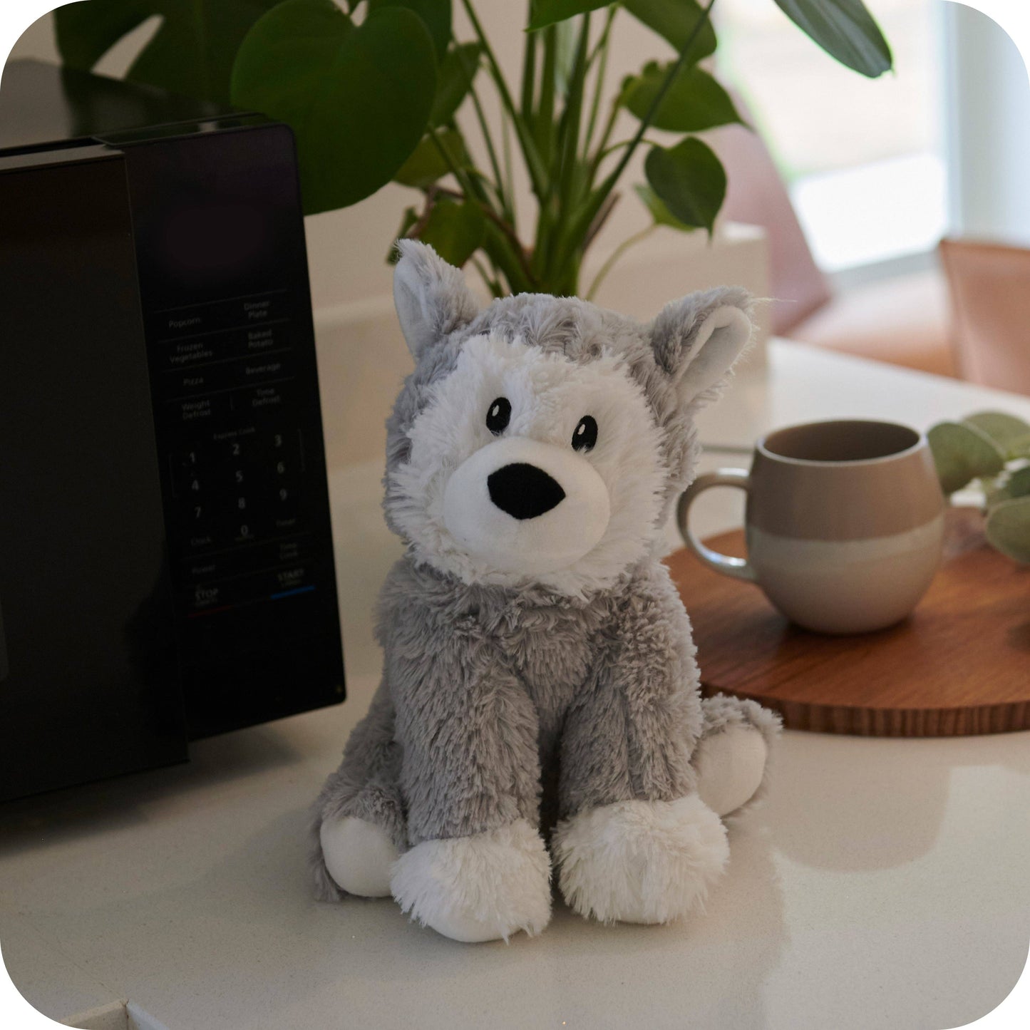 Warmies Husky