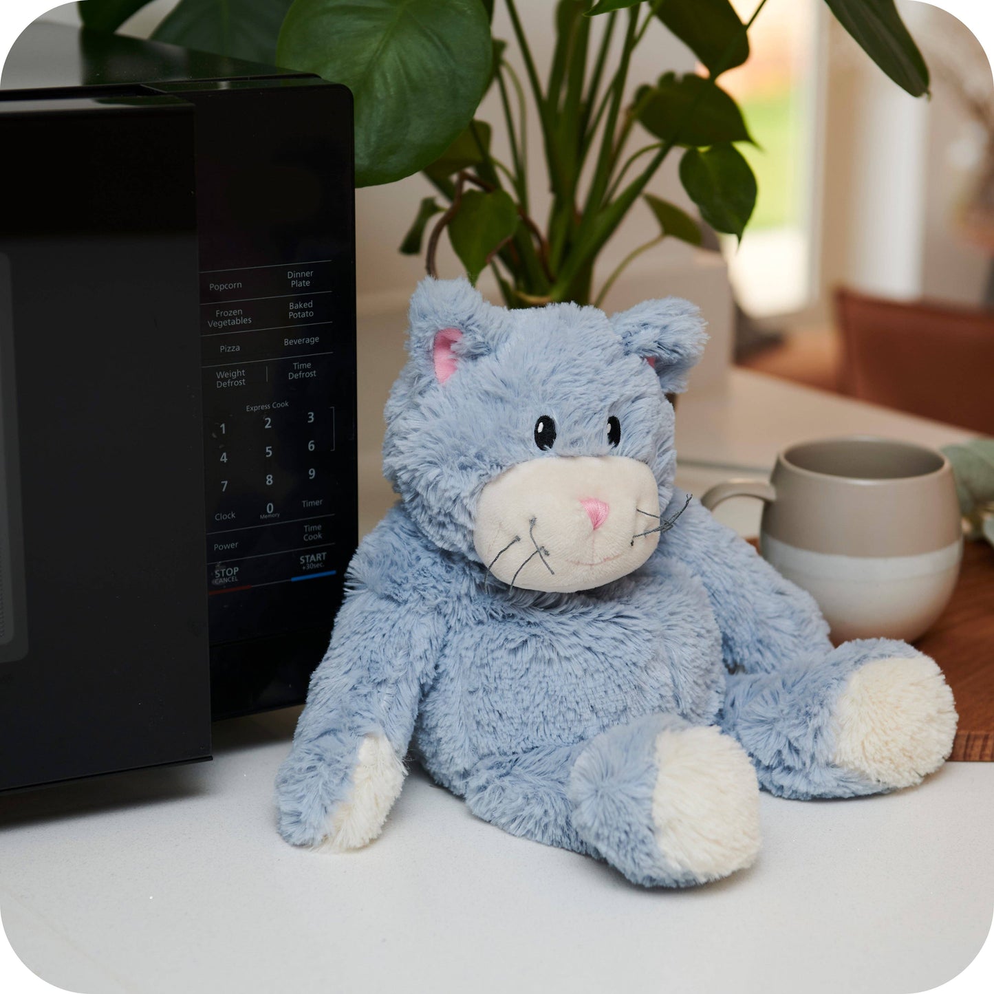 Warmies Blue Cat