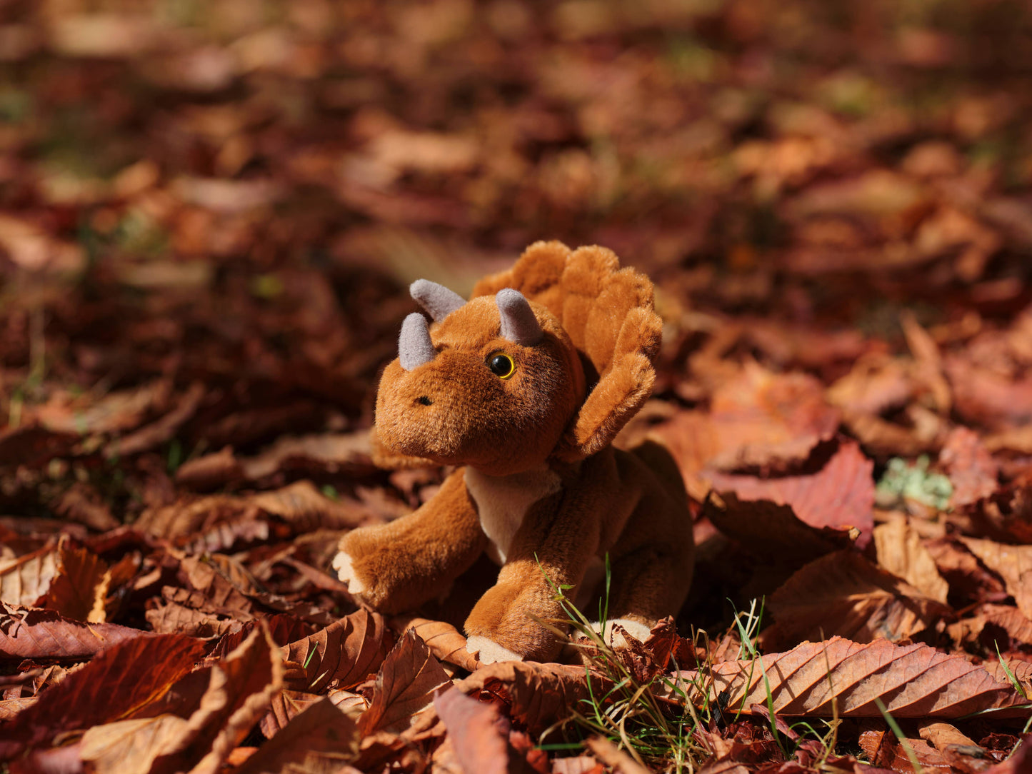 Charlie Bears Cuddle Cub Triceratops Soft Plush Toy Teddy Bear: Cuddle Cubs / Triceratops