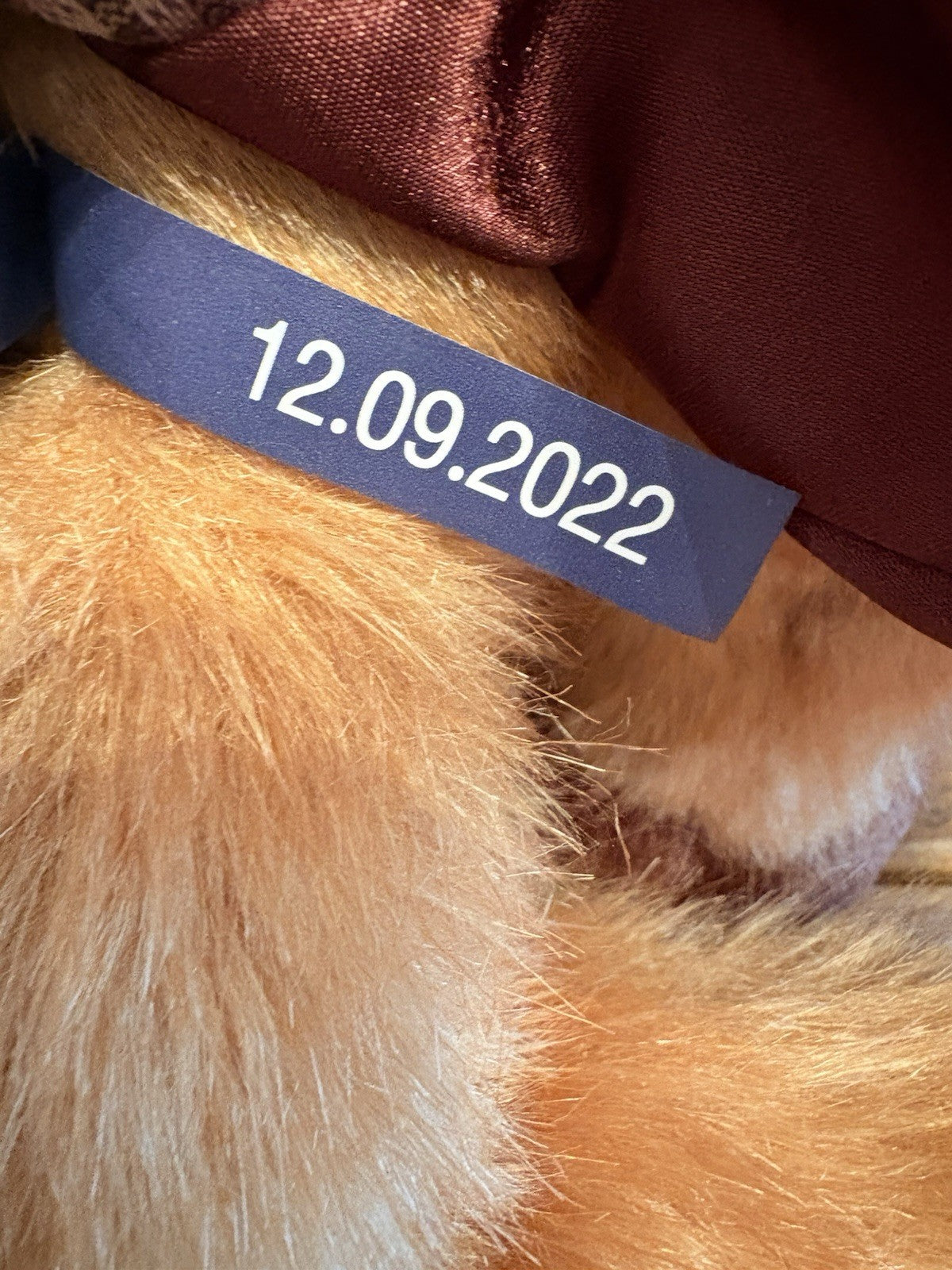 Charlie Bears TRAIL Fox Signature Limited Edition with Tags from Hugolicious