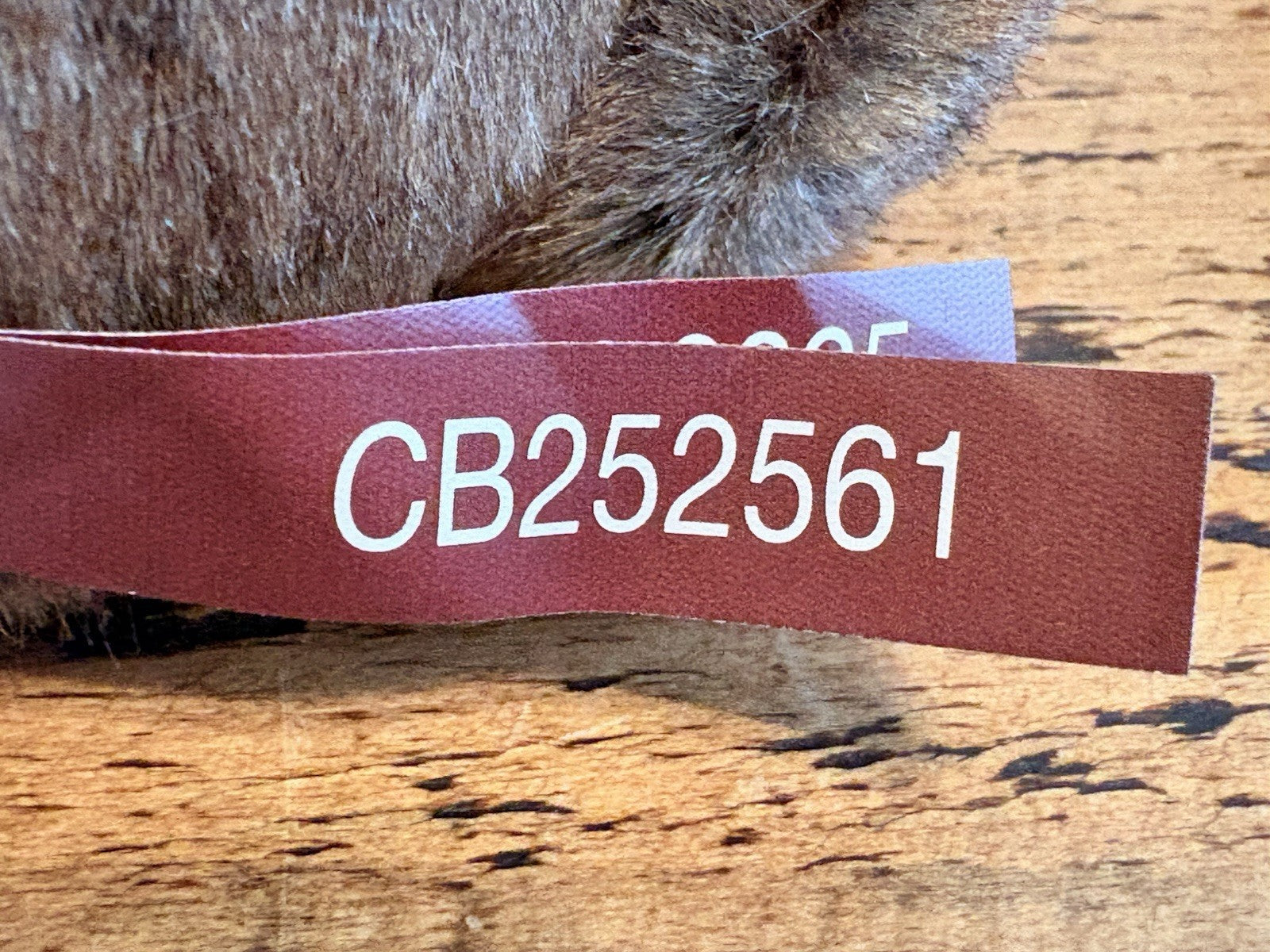 Charlie Bears Wilson Very Cute Bear New with Tags From Hugolicious