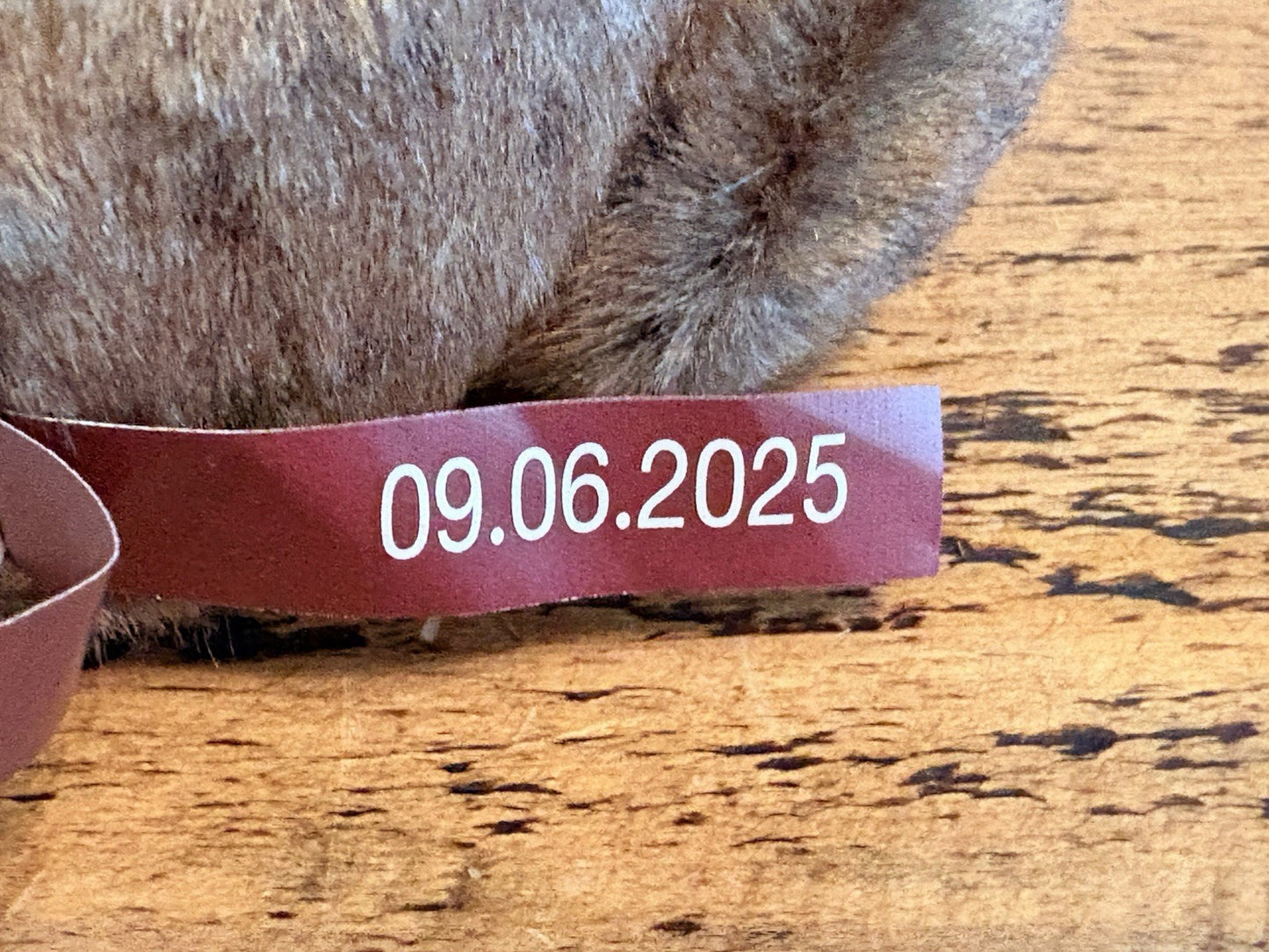 Charlie Bears Wilson Very Cute Bear New with Tags From Hugolicious