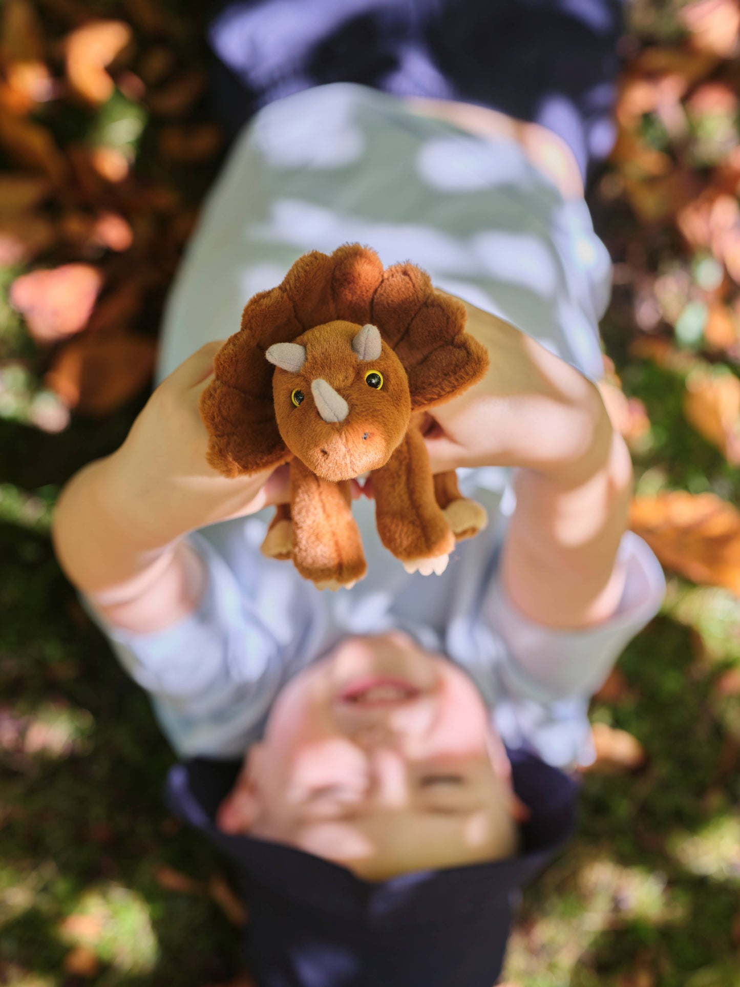 Charlie Bears Cuddle Cub Triceratops Soft Plush Toy Teddy Bear: Cuddle Cubs / Triceratops