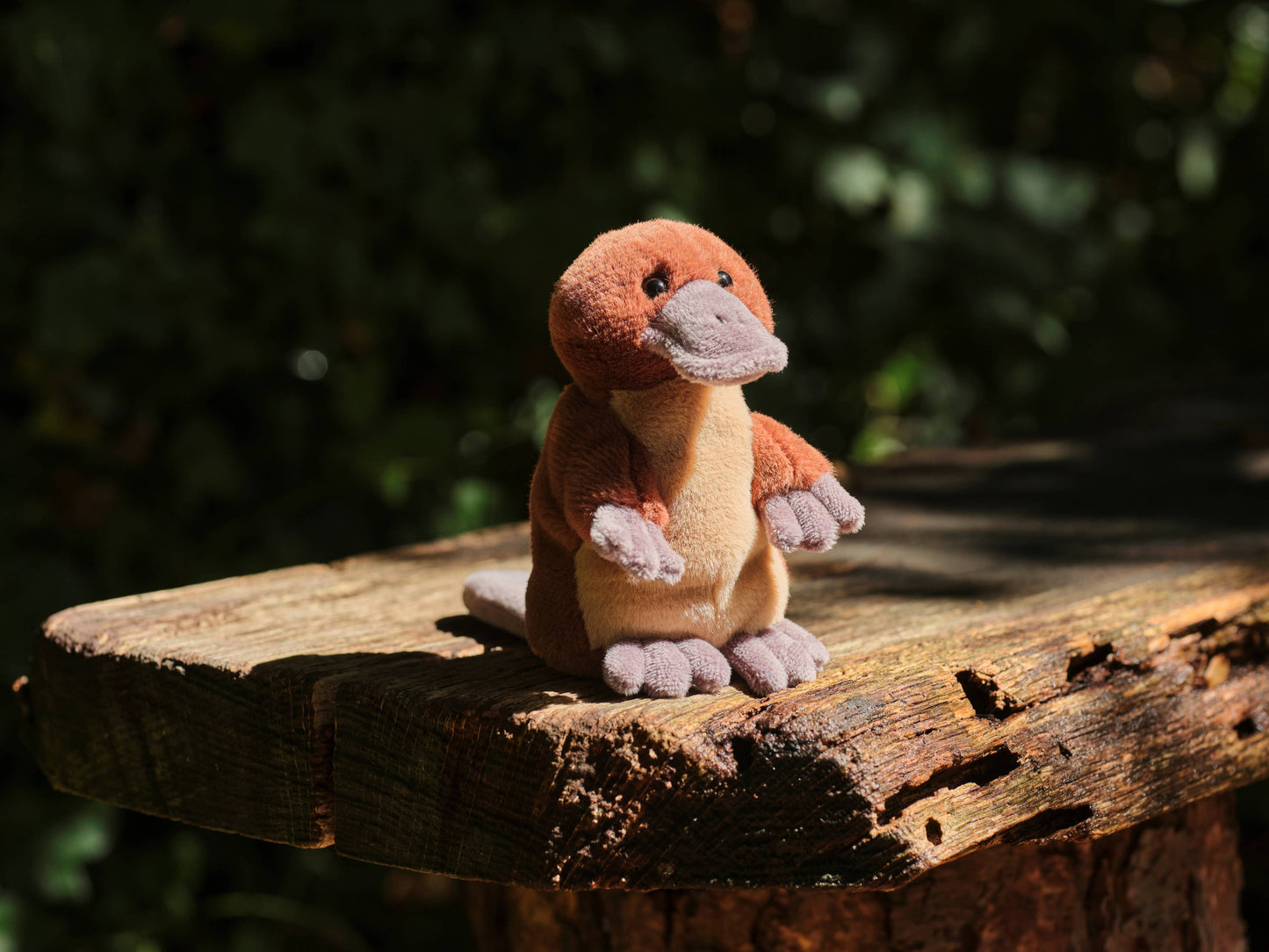 Charlie Bears Cuddle Cub Duck Billed Platypus Soft Plush Toy Teddy Bear: Cuddle Cubs / Duck Billed Platypus Brand New