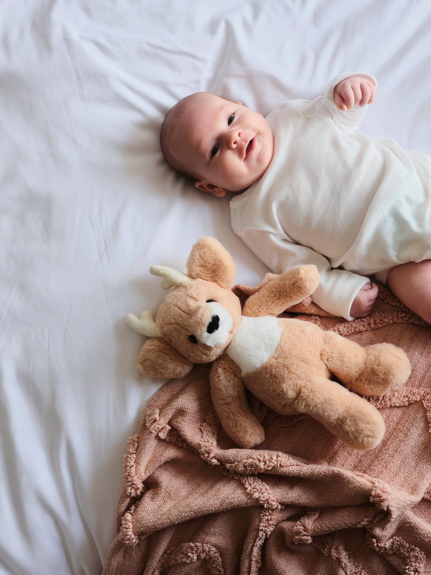 Charlie Bears Ltd - Fawn Deer Cookie Dough Brown Soft Plush Toy Teddy Bear